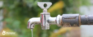 tap water 23