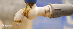 tap water 24