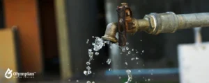 tap water 29