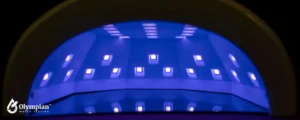 ultra violet (3)