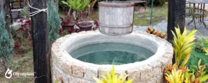 well water 2