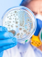 Total Coliform Testing water