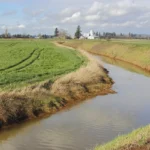 agriculture spraying (4)