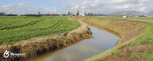 agriculture spraying (4)