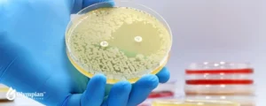 bacteria in tap water (2)
