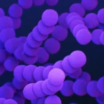 bacteria in tap water (3)