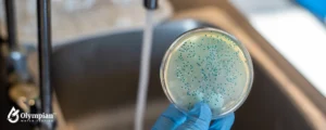 bacterias (7)