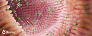 bacterias (9)