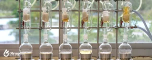 distilled water process (1)