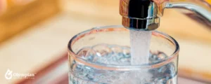 tap water (10)