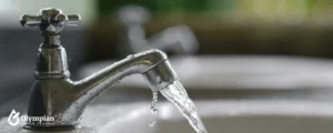 tap water