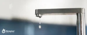 tap water (5)