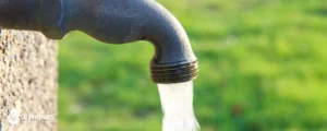 tap water (9)