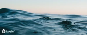 water (1)