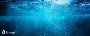 water (2)