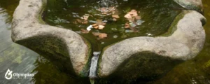 well water (11)