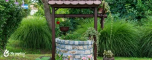 well water