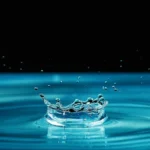 Does Water Have Calories