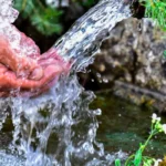 collecting spring water