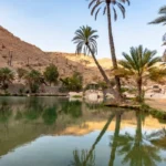 water conservation in desert