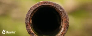 water pipe (10)