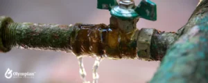 water pipe (11)