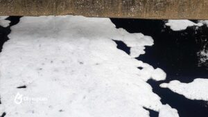 Foamy water, a possible sign of PFAS in NYC drinking water. Learn about safe drinking water tips.