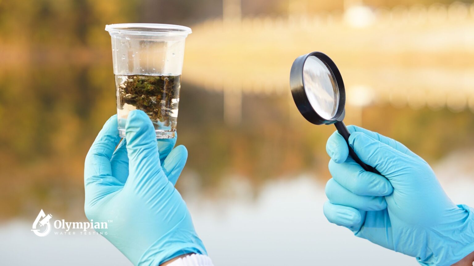 What are VOC's in drinking water? - Olympian Water Testing, LLC