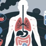 Heavy metals enter body through food, water, air. Diagram of human body with lungs, stomach, intestines. Factory pollution.