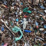 Microplastics in Water