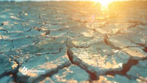 Cracked earth during a New York drought. Dry, arid land with sun.