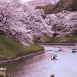 drink tap water in Tokyo