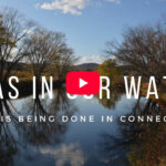 PFAS In Our Water: What is being done in Connecticut