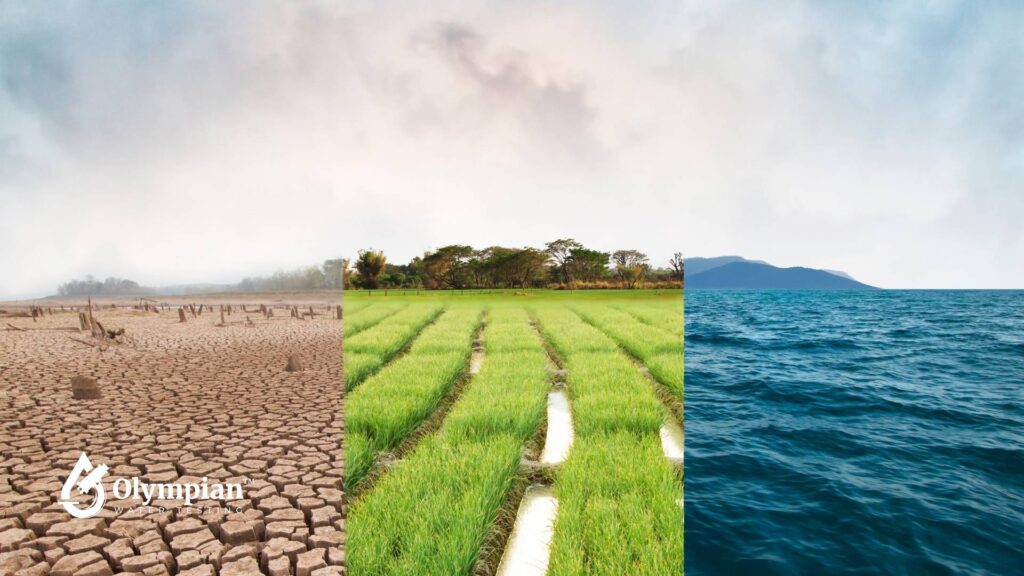 Environmental Impacts