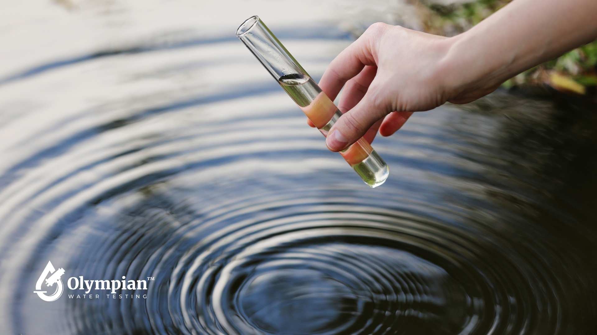 How to Test for E. Coli in Your Home’s Drinking Water - Olympian Water ...