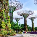 can you drink the water in singapore