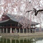 can you drink the water in south korea