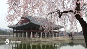 can you drink the water in south korea