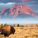 can you drink the water in wyoming