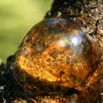 changing resin in water softener