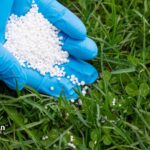 how do you remove nitrates from water