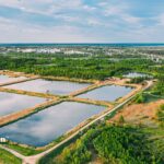retention pond vs detention basin