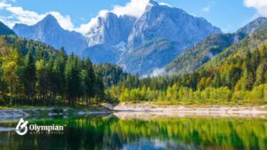 All about the smith mountain water level
