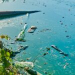how water pollution affects the environment