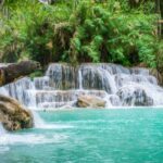 Comparison of mineral water vs spring water