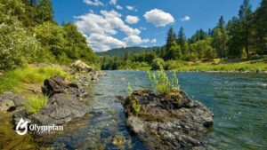 Information on the trinity river water level