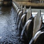 Top water distillers for home use