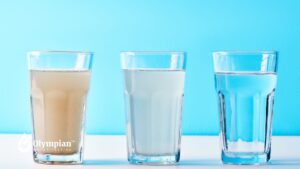 certified water filter