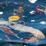 how does water pollution affect the environment