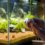 how to check water quality in fish tank